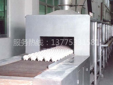 連續(xù)式熱風(fēng)回火爐